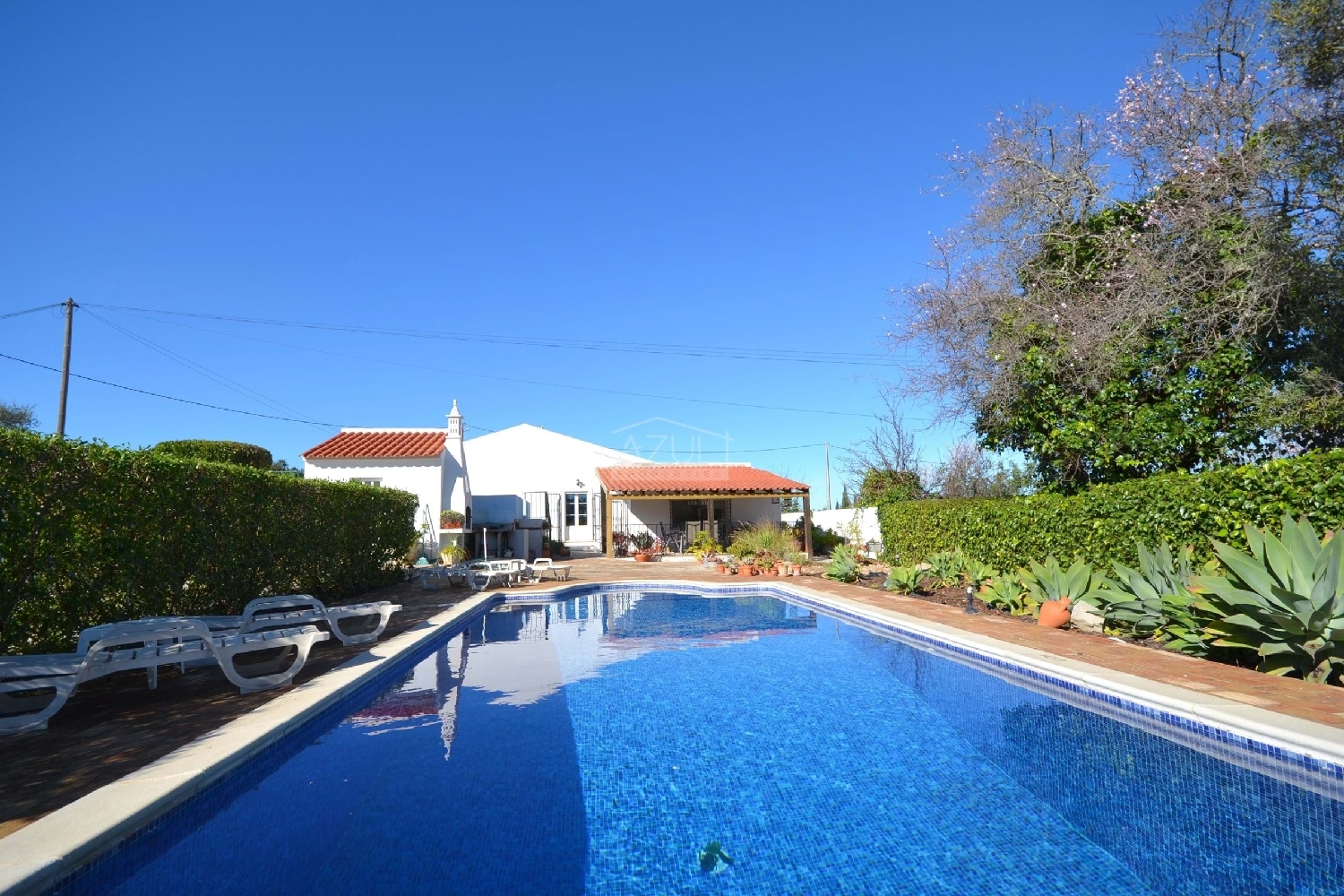 kaufen Villa São Brás de Alportel São Brás De Alportel 3