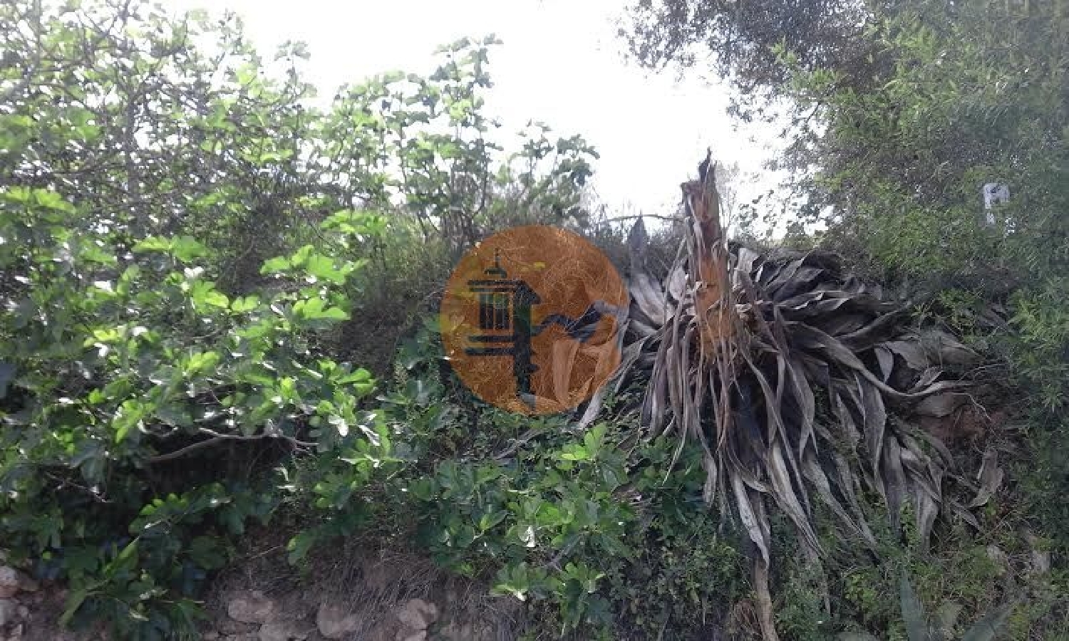  kaufen Villa Tavira Tavira 7