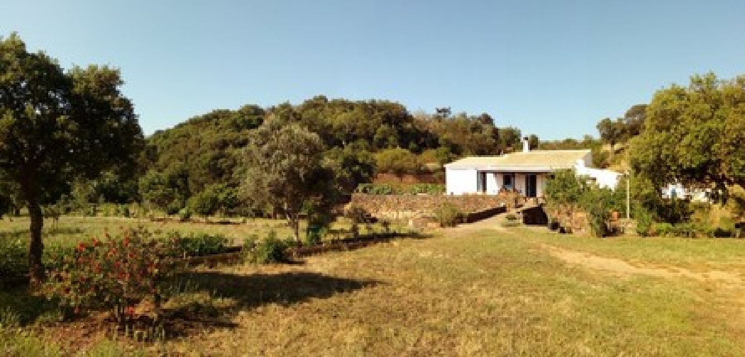  à venda vila Vila do Bispo Vila Do Bispo 4