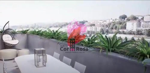 Costa Terras De Bouro appartement foto 334740