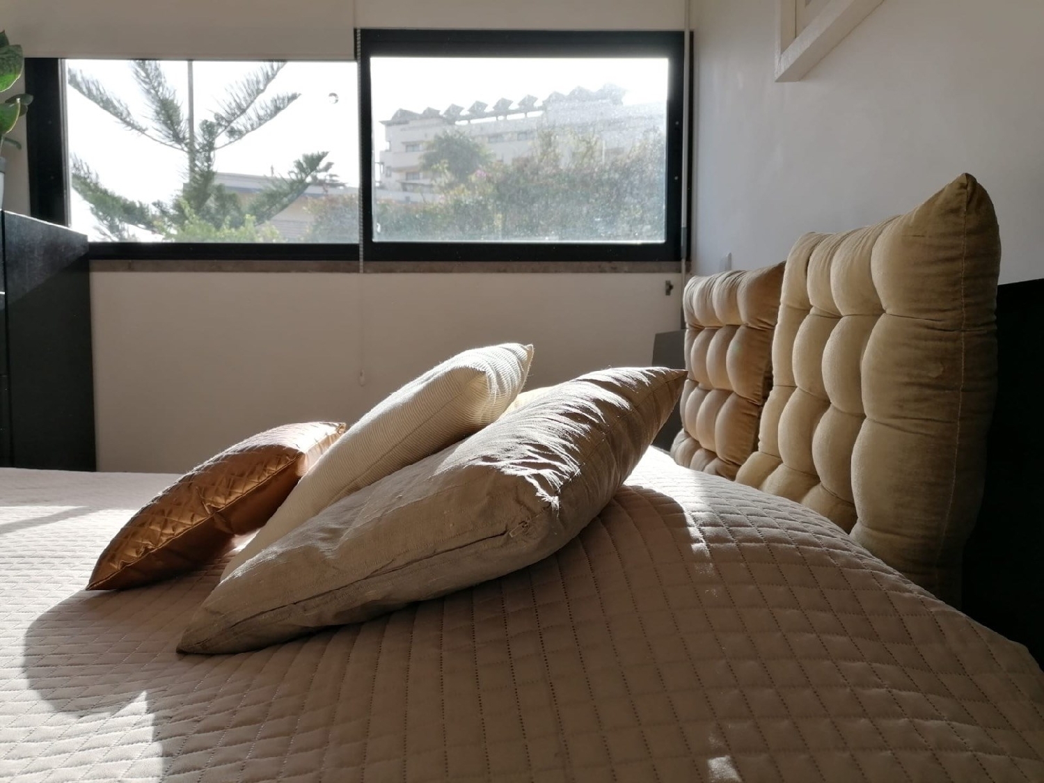  à vendre appartement Funchal Funchal 6