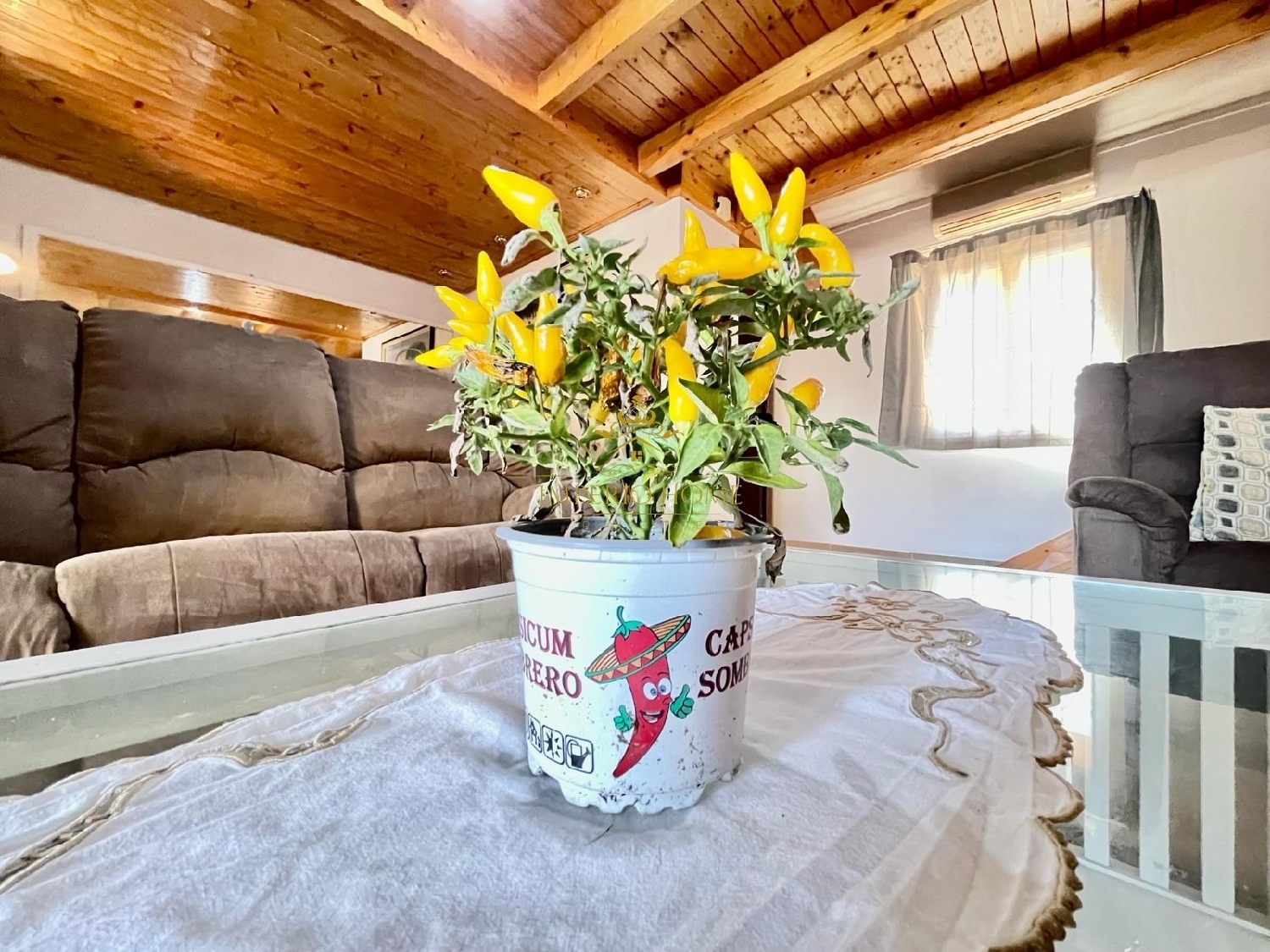  te koop appartement Loulé Loulé 4