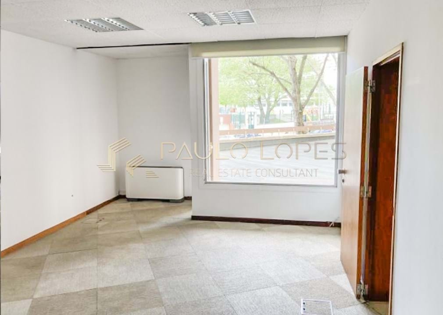  for sale commercial Lisbon Lisbon 2