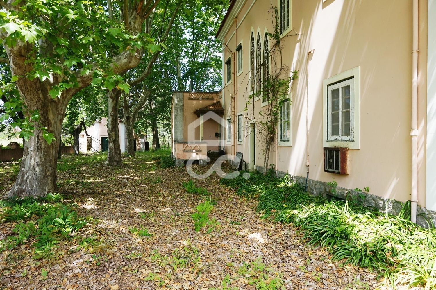  à vendre ferme Abrantes Abrantes 3