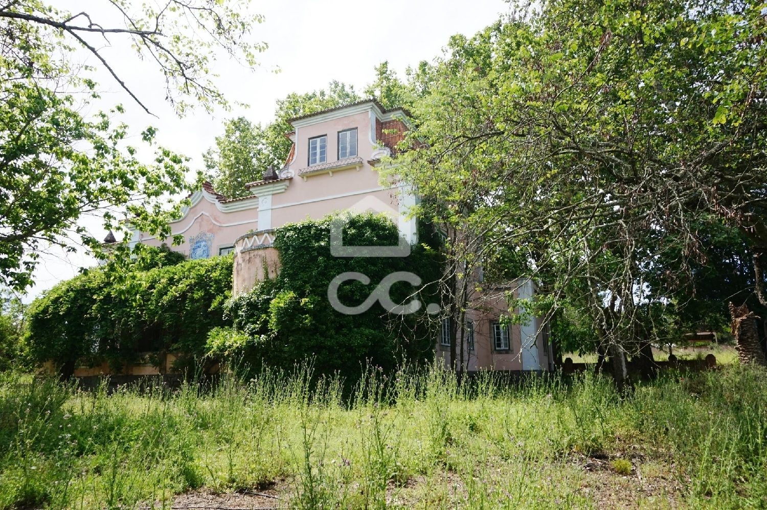  à vendre ferme Abrantes Abrantes 6