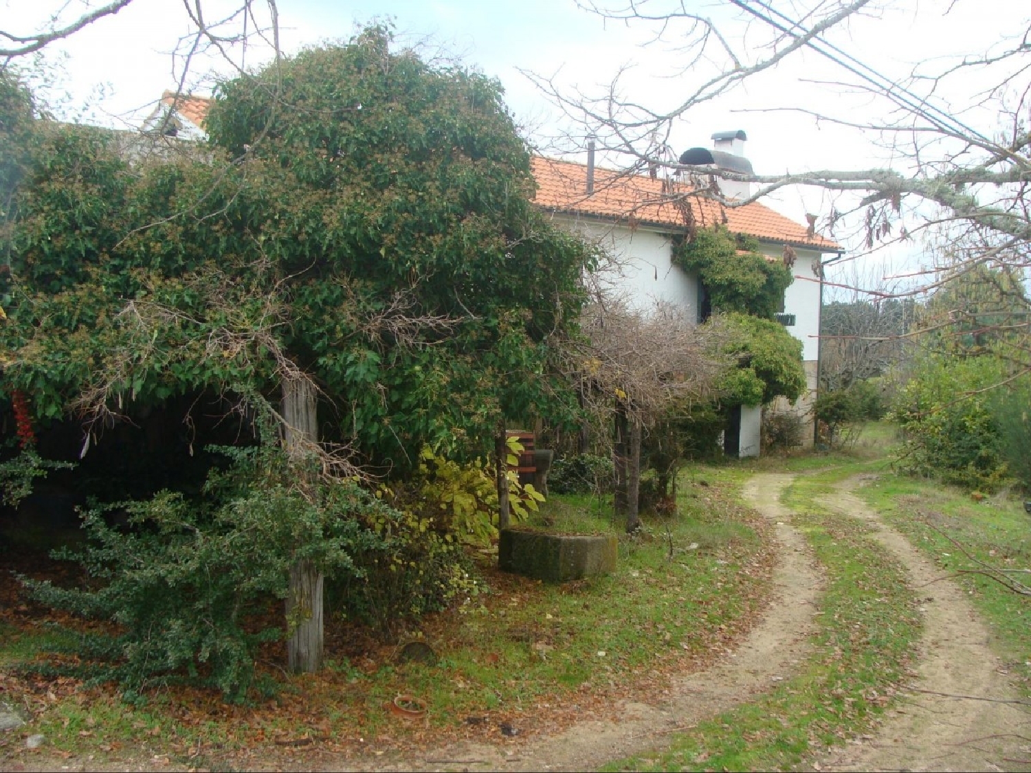 te koop boerderij Agostem Chaves 3