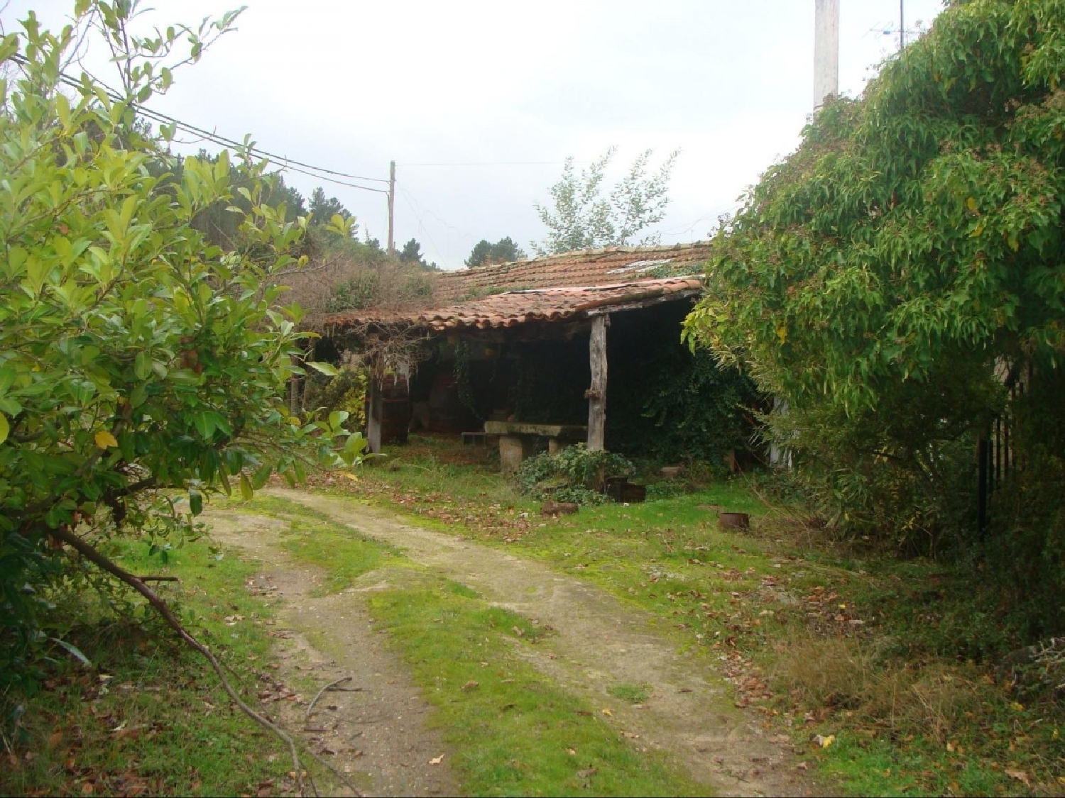  te koop boerderij Agostem Chaves 4