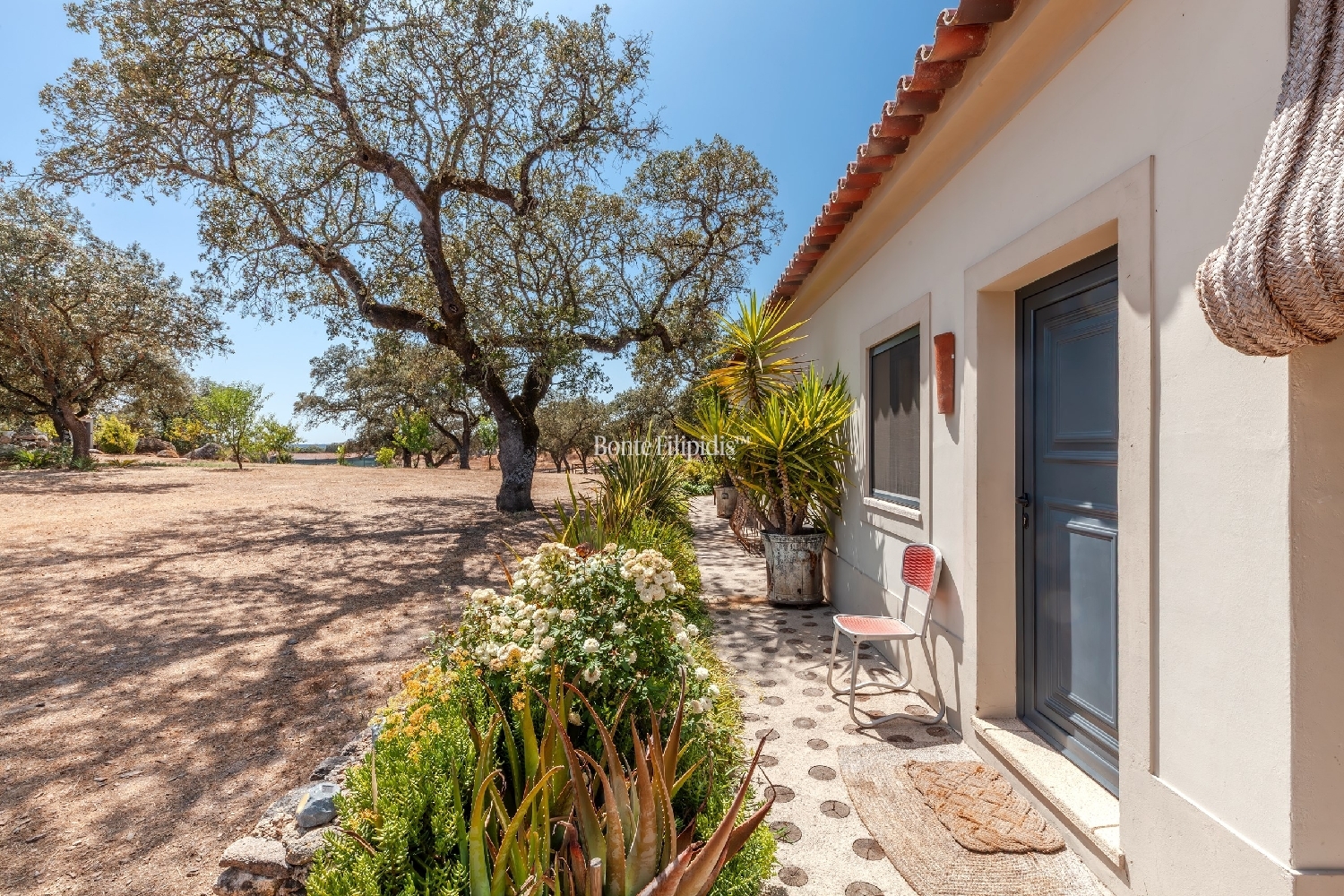  à venda quinta Arraiolos Arraiolos 4
