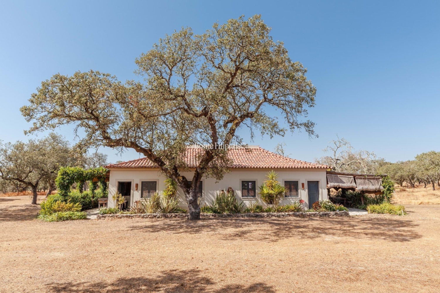  à venda quinta Arraiolos Arraiolos 6