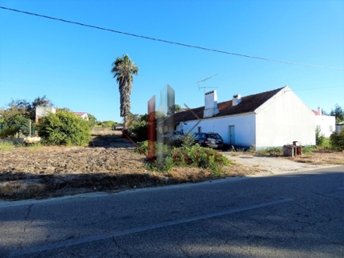 Branca Coruche farm foto 335061