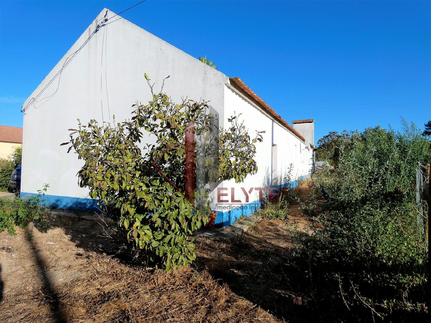 for sale farm Branca Coruche 2