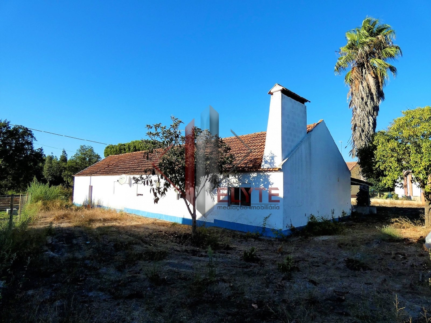 for sale farm Branca Coruche 3