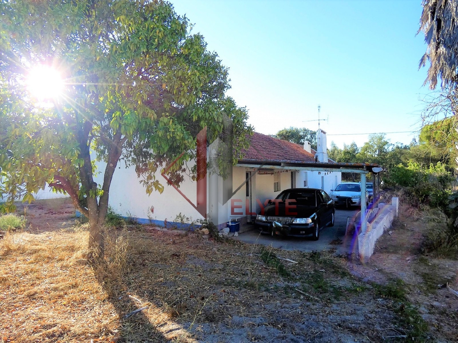  for sale farm Branca Coruche 4