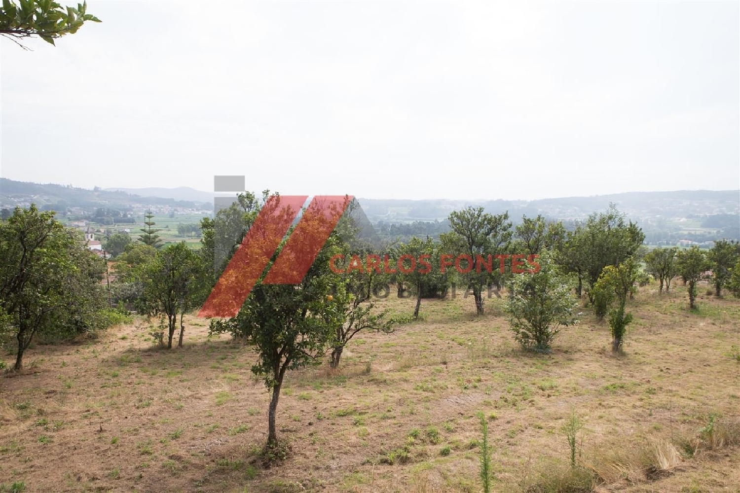  te koop boerderij Carreira Amarante 2