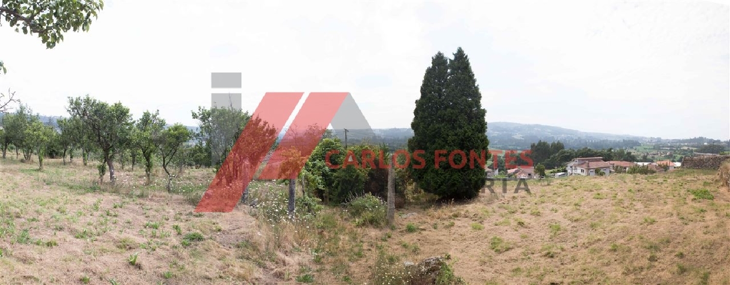  te koop boerderij Carreira Amarante 3