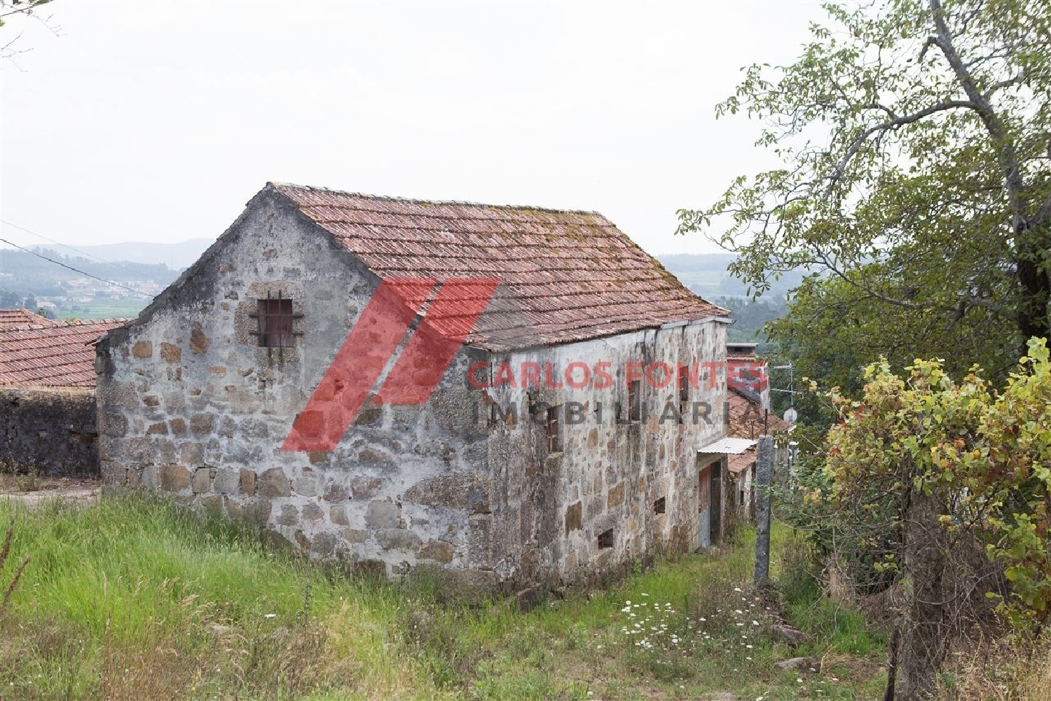  te koop boerderij Carreira Amarante 7