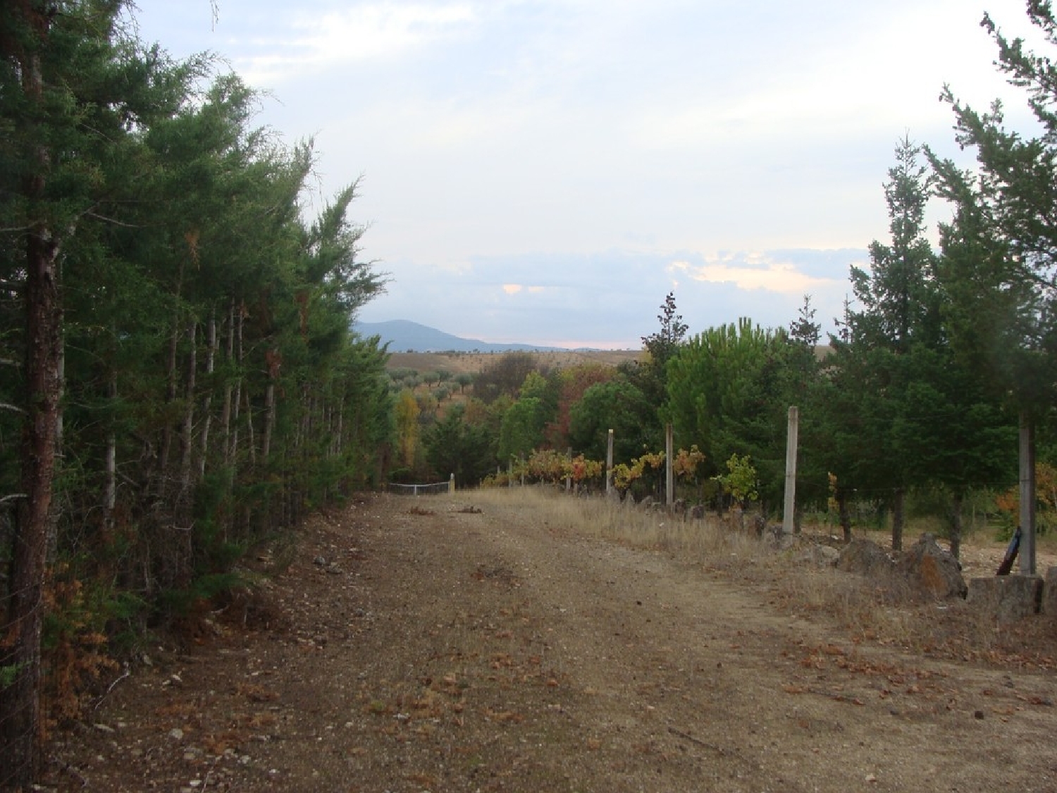  te koop boerderij Carvalhais Mirandela 4