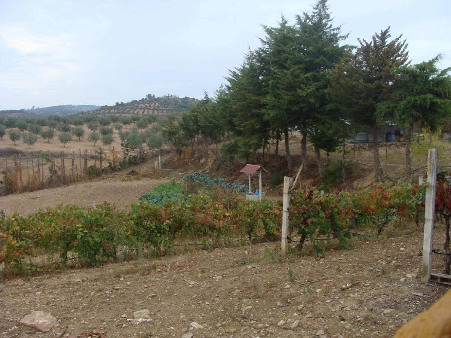  te koop boerderij Carvalhais Mirandela 5
