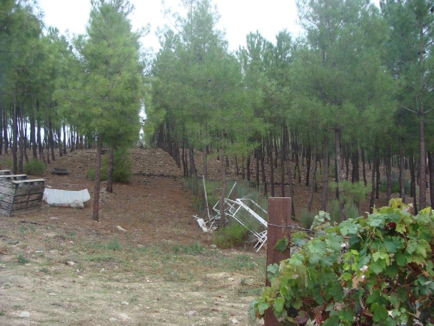  te koop boerderij Carvalhais Mirandela 8