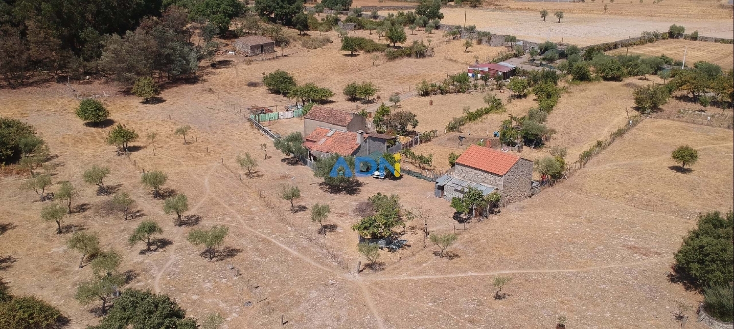  à vendre ferme Castelo Branco Castelo Branco 2