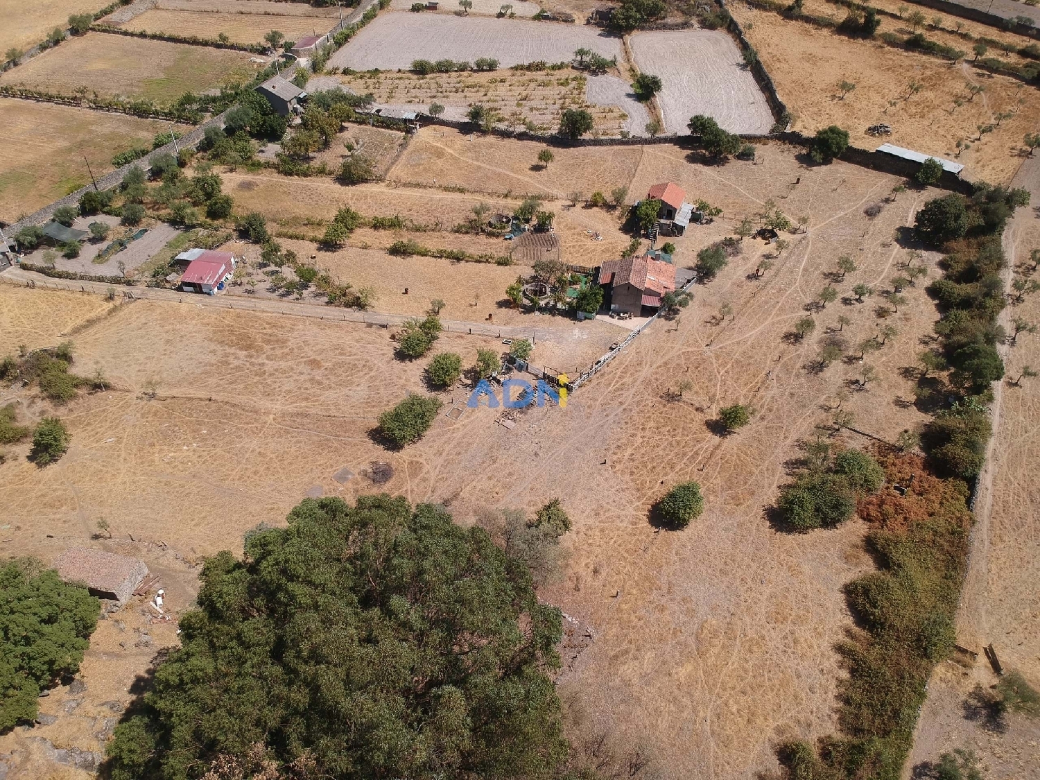 à vendre ferme Castelo Branco Castelo Branco 4