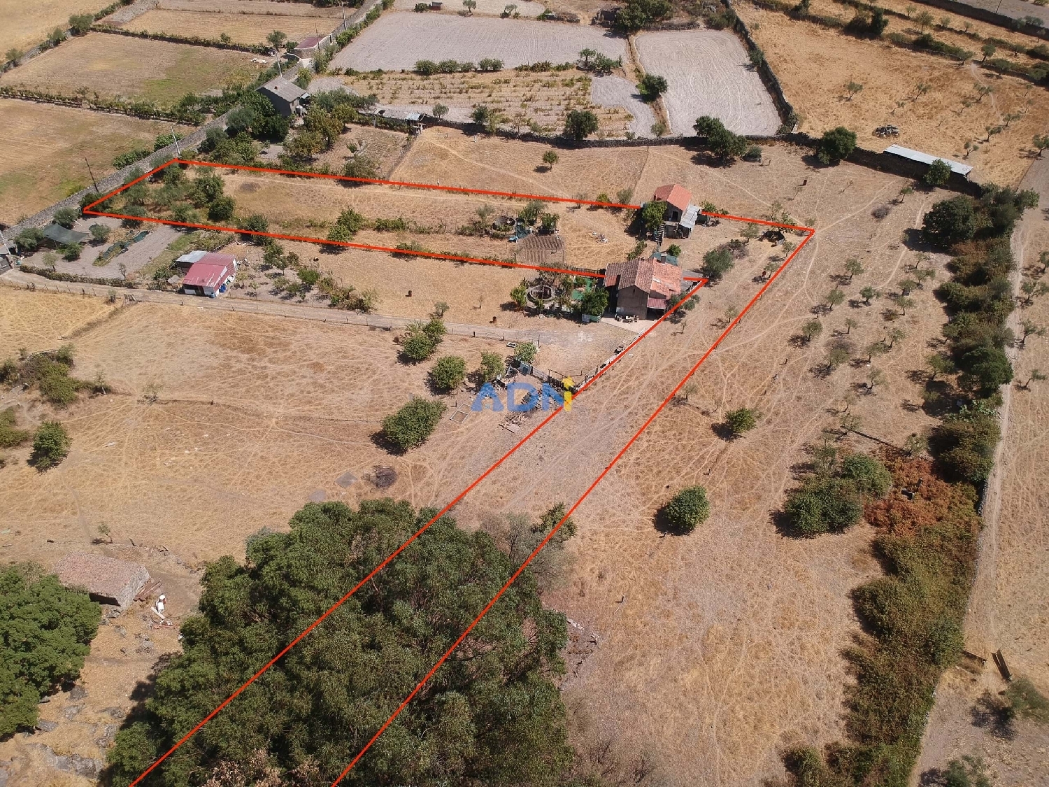  à vendre ferme Castelo Branco Castelo Branco 5