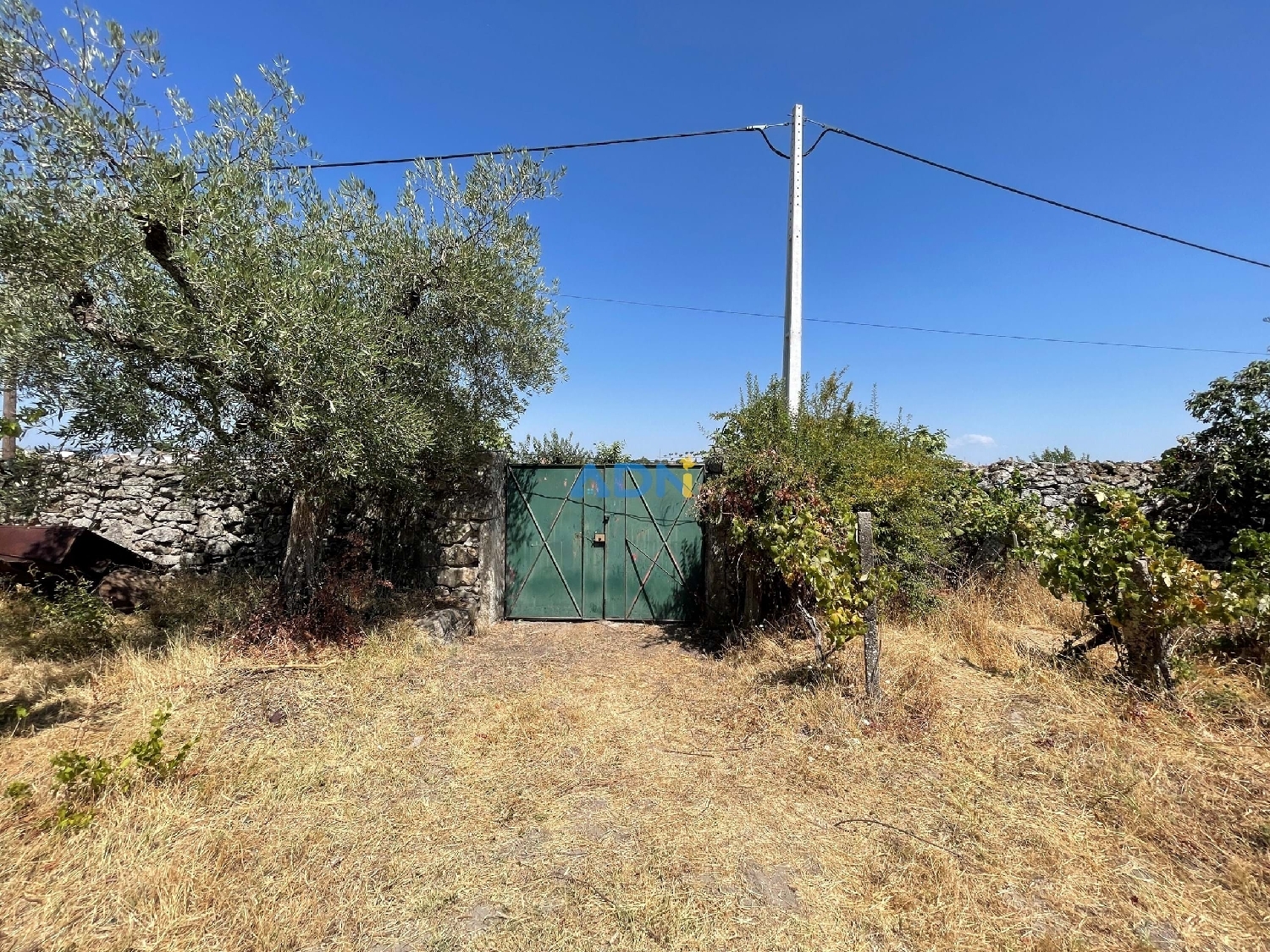  à vendre ferme Castelo Branco Castelo Branco 6