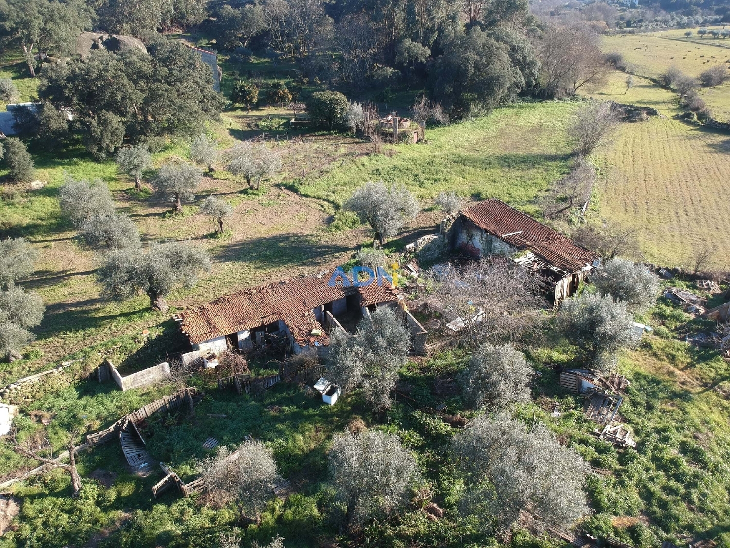 à vendre ferme Castelo Branco Castelo Branco 3