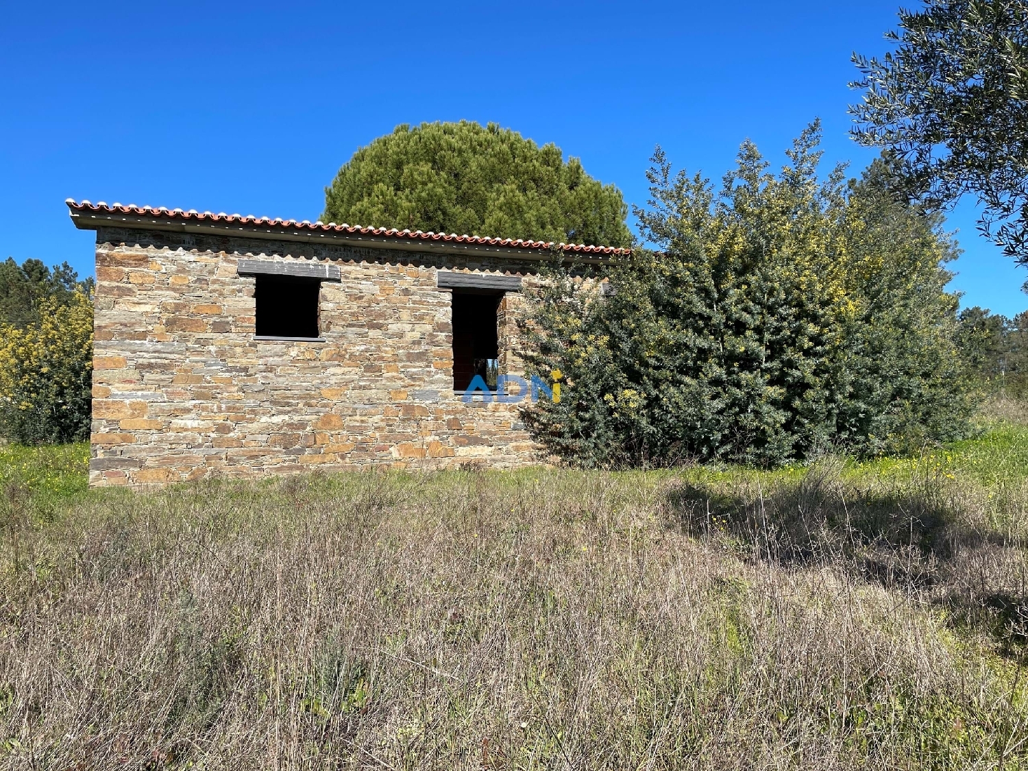  à vendre ferme Castelo Branco Castelo Branco 2