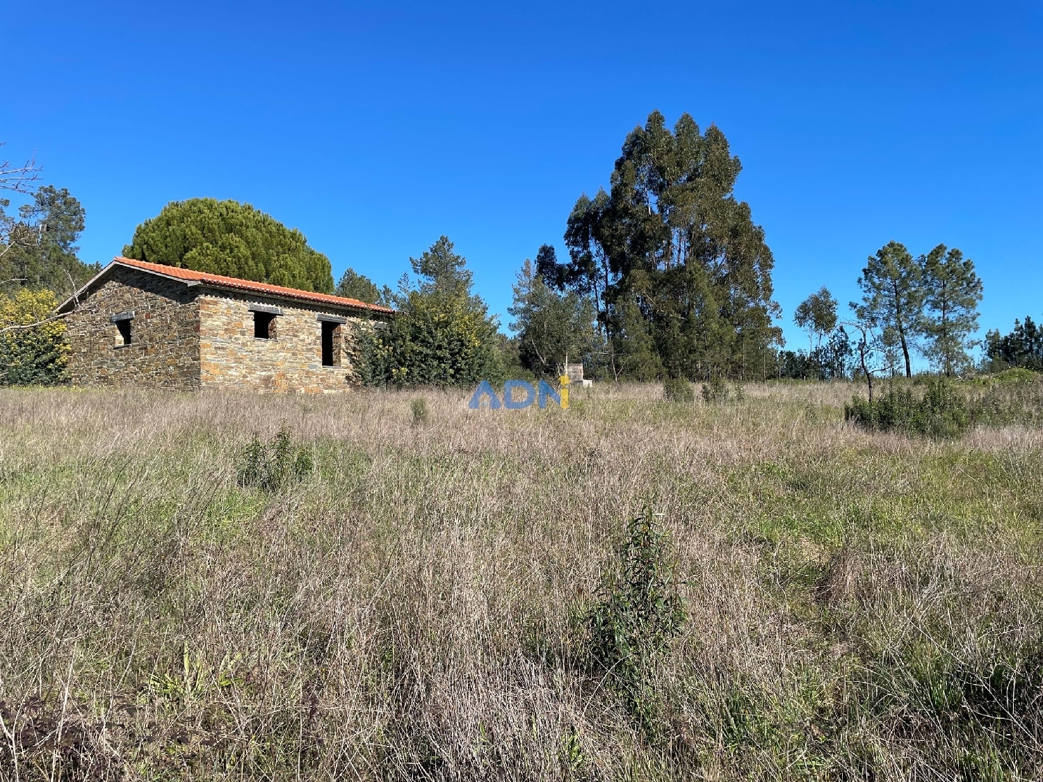  à vendre ferme Castelo Branco Castelo Branco 5