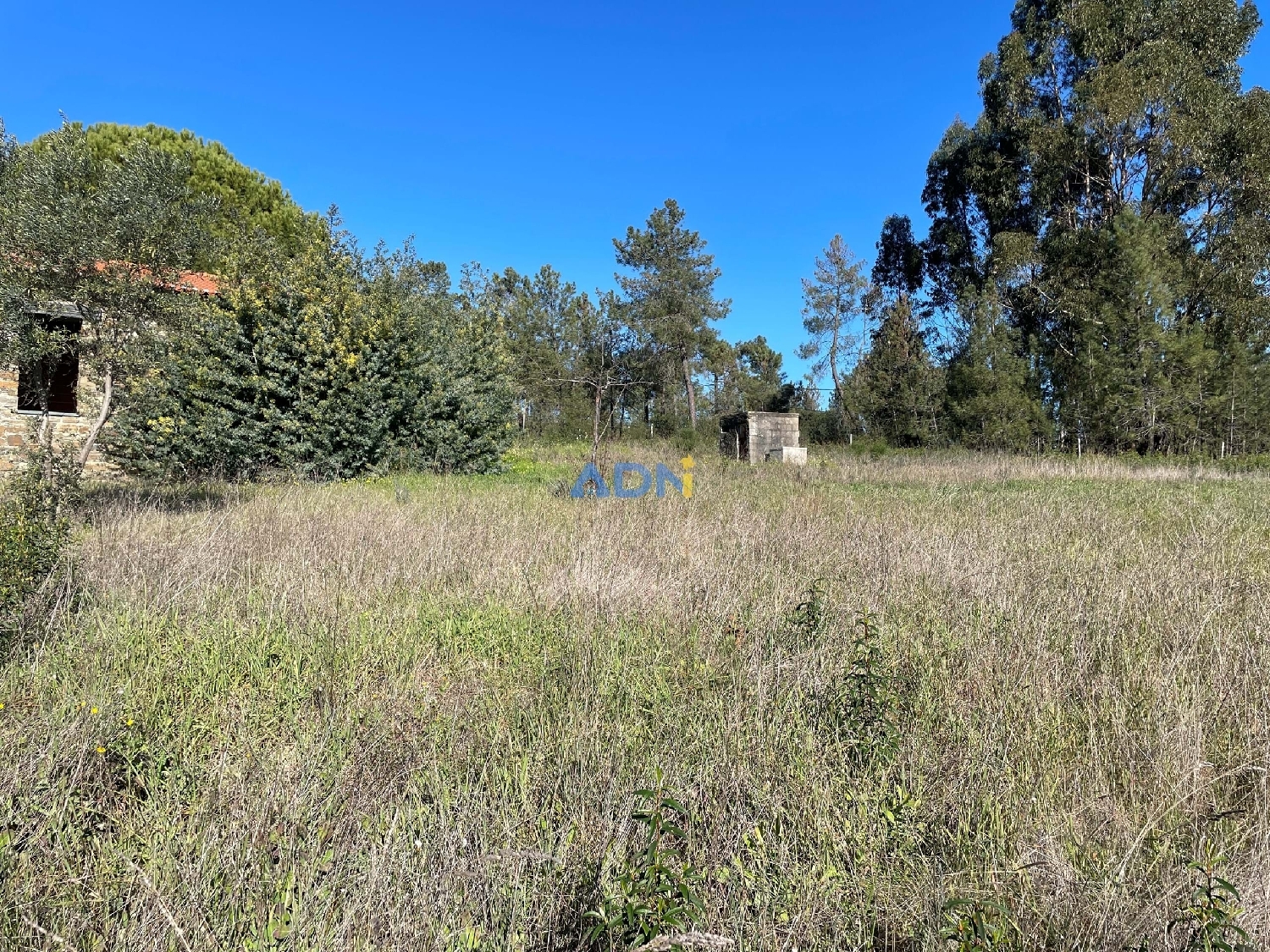  à vendre ferme Castelo Branco Castelo Branco 6