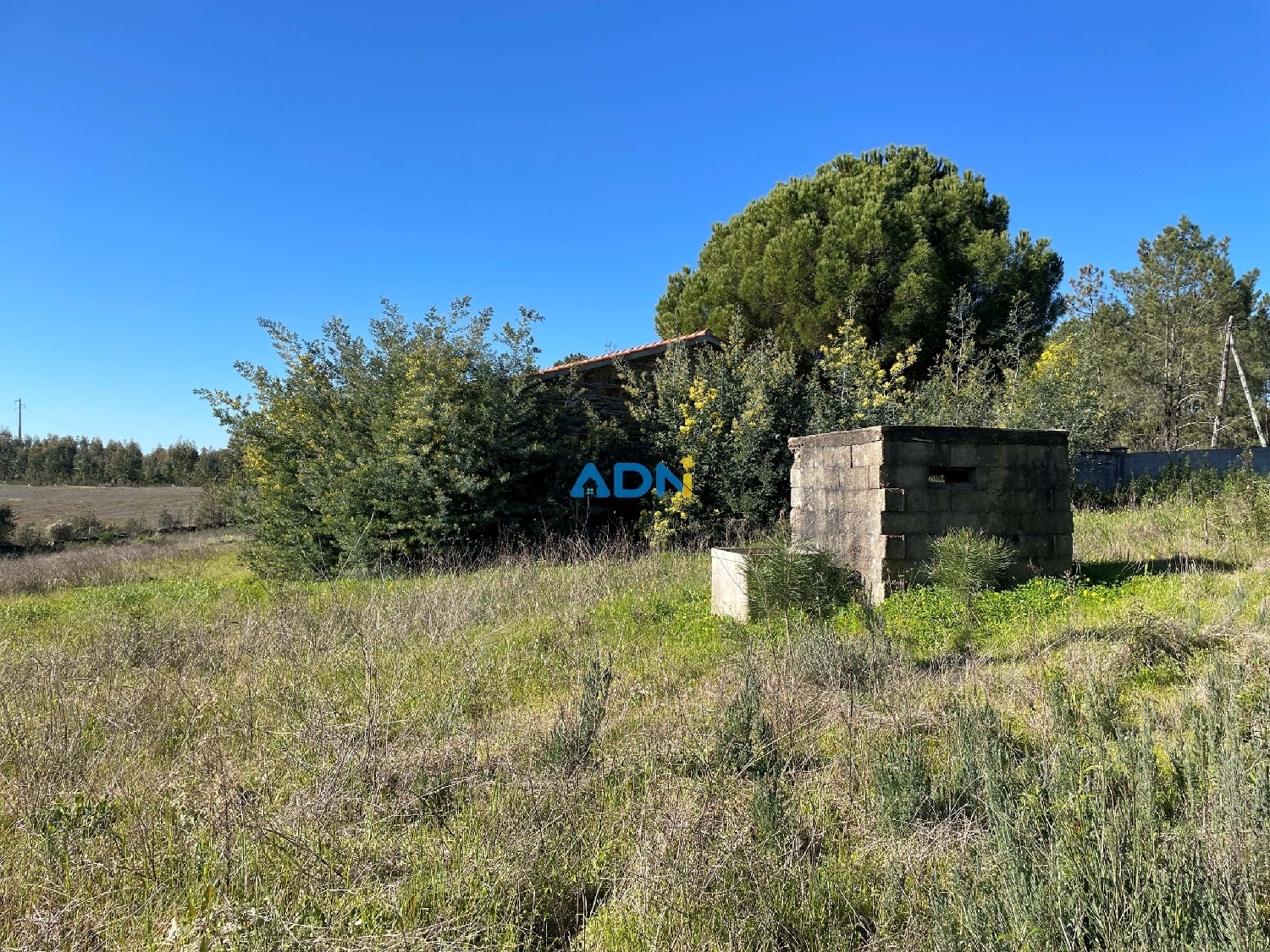  à vendre ferme Castelo Branco Castelo Branco 8