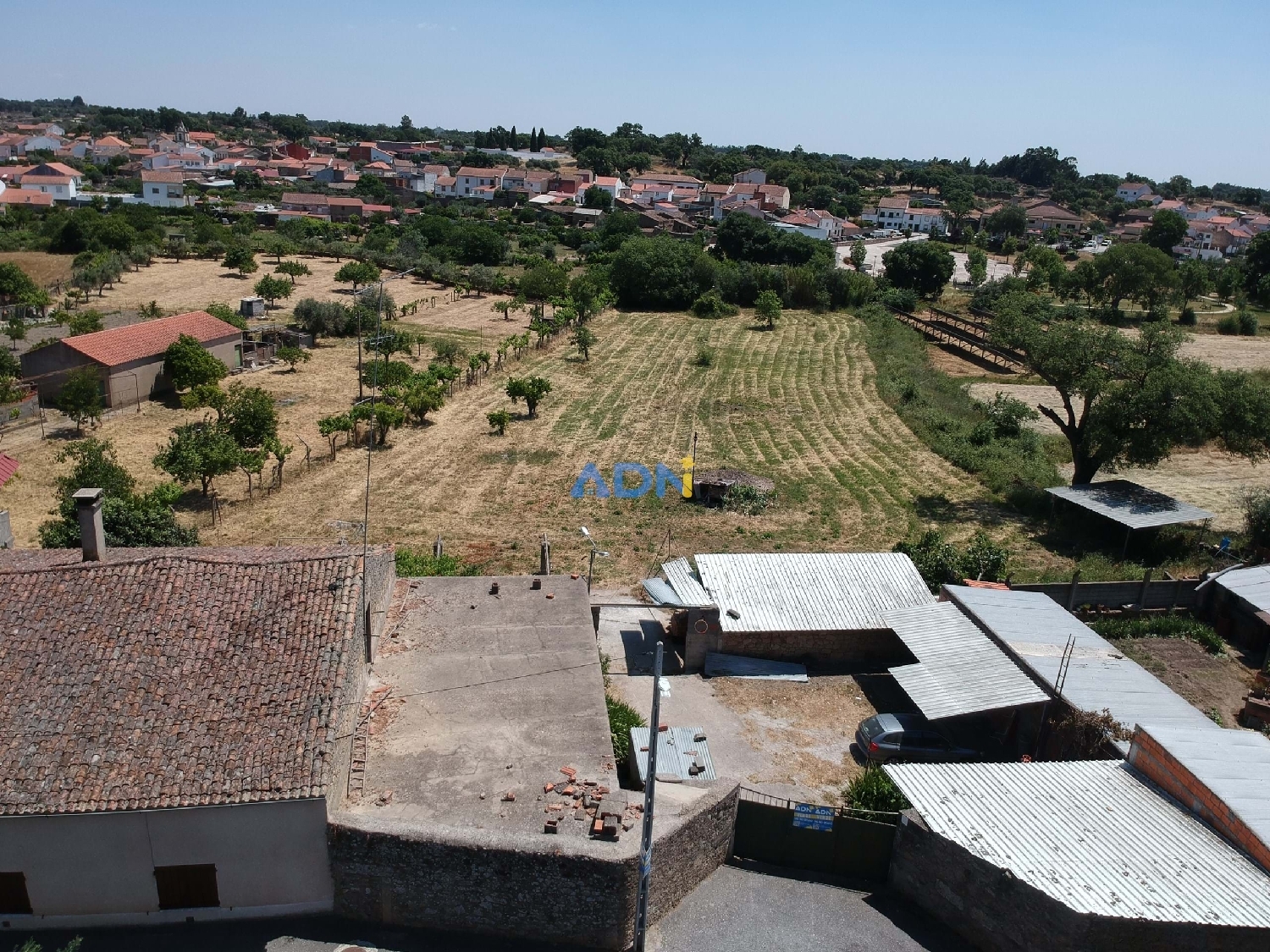  te koop boerderij Castelo Branco Castelo Branco 3