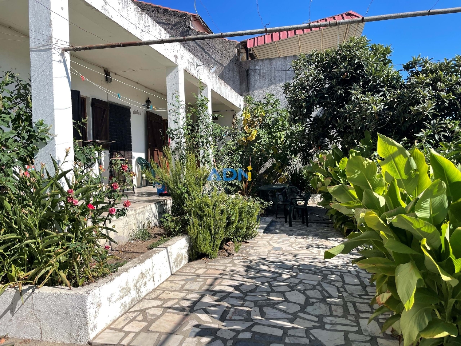  te koop boerderij Castelo Branco Castelo Branco 4