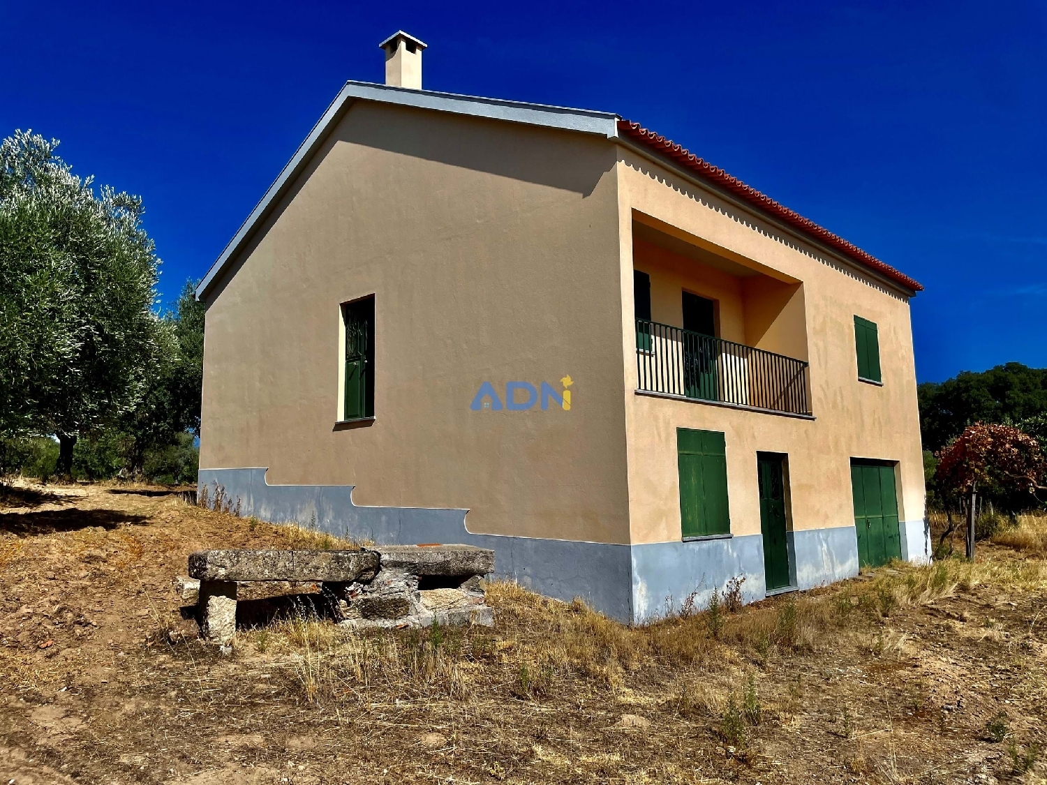  te koop boerderij Castelo Branco Castelo Branco 3