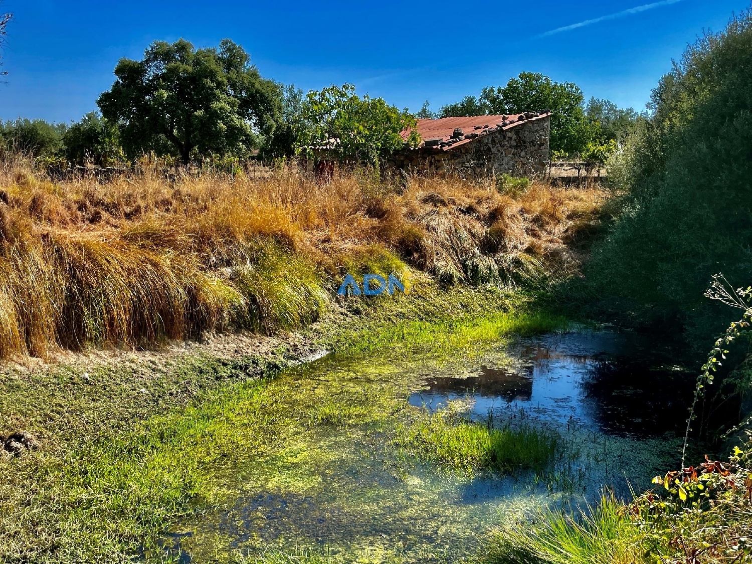  te koop boerderij Castelo Branco Castelo Branco 4