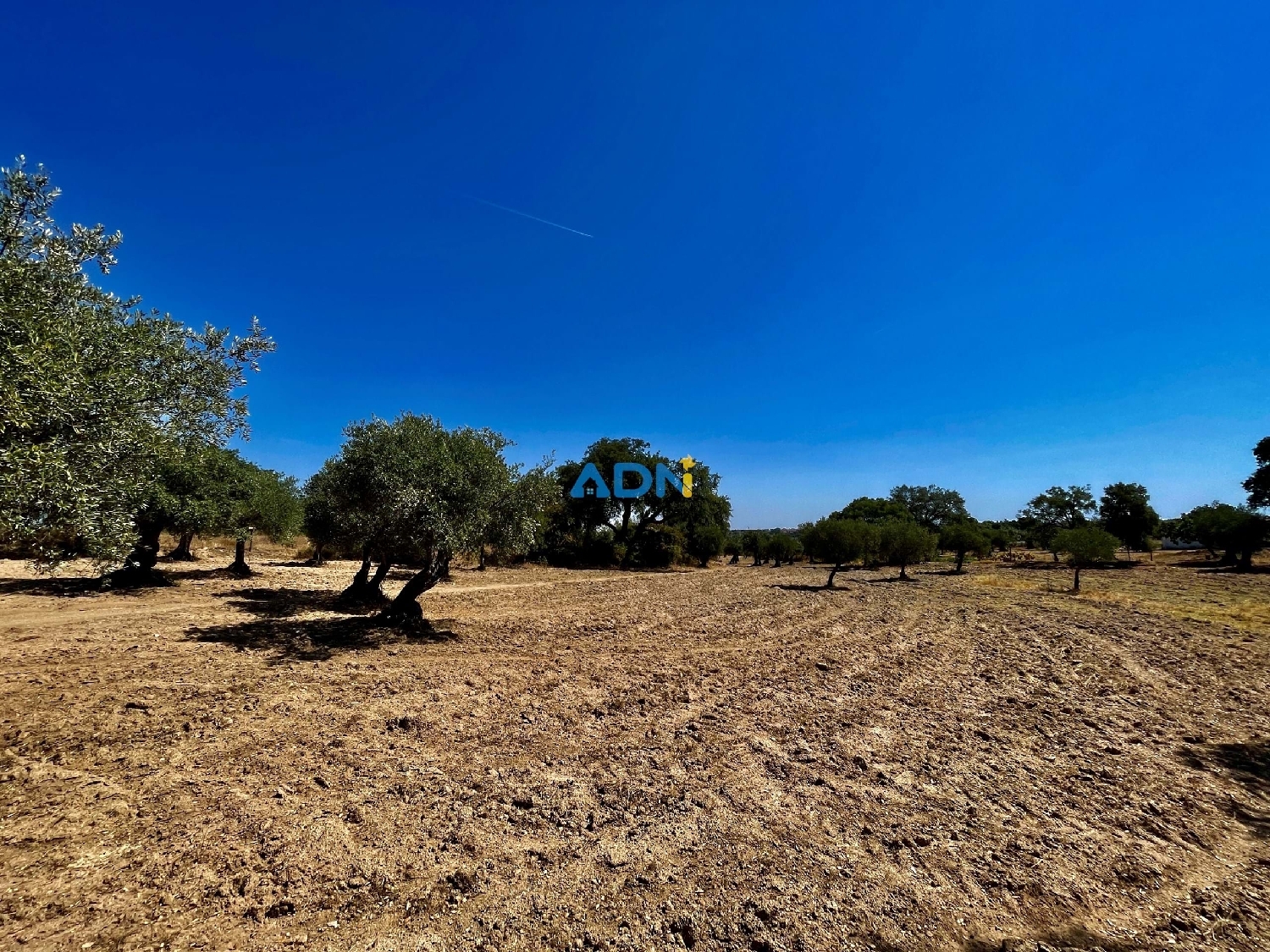  te koop boerderij Castelo Branco Castelo Branco 8