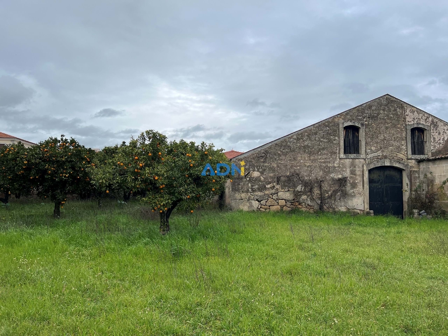  à vendre ferme Castelo Branco Castelo Branco 1