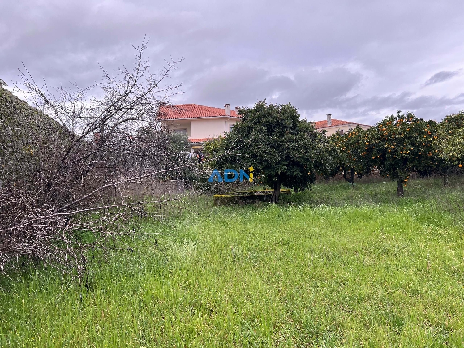 à vendre ferme Castelo Branco Castelo Branco 2
