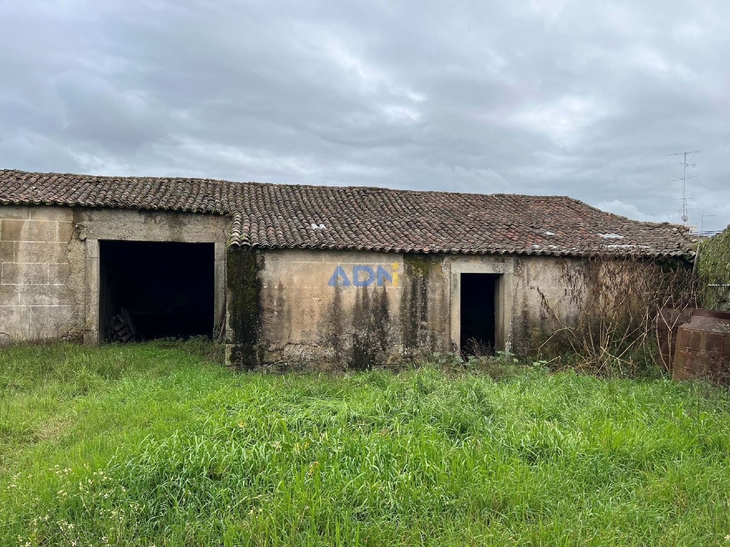  à vendre ferme Castelo Branco Castelo Branco 5
