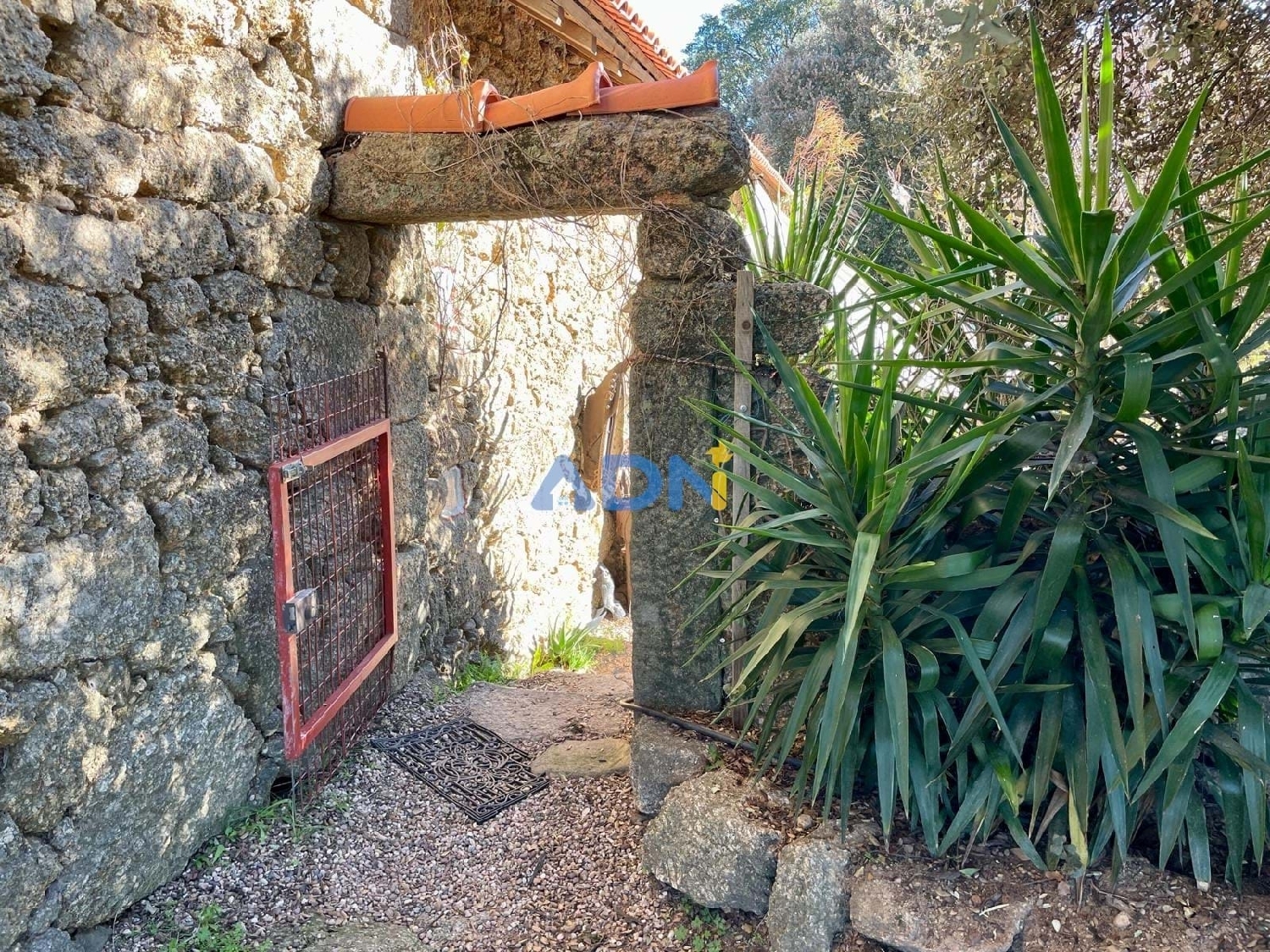  à venda quinta Castelo Branco Castelo Branco 7