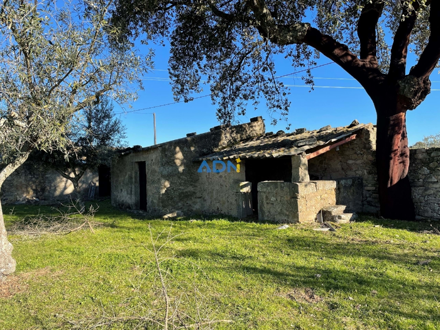  te koop boerderij Castelo Branco Castelo Branco 3