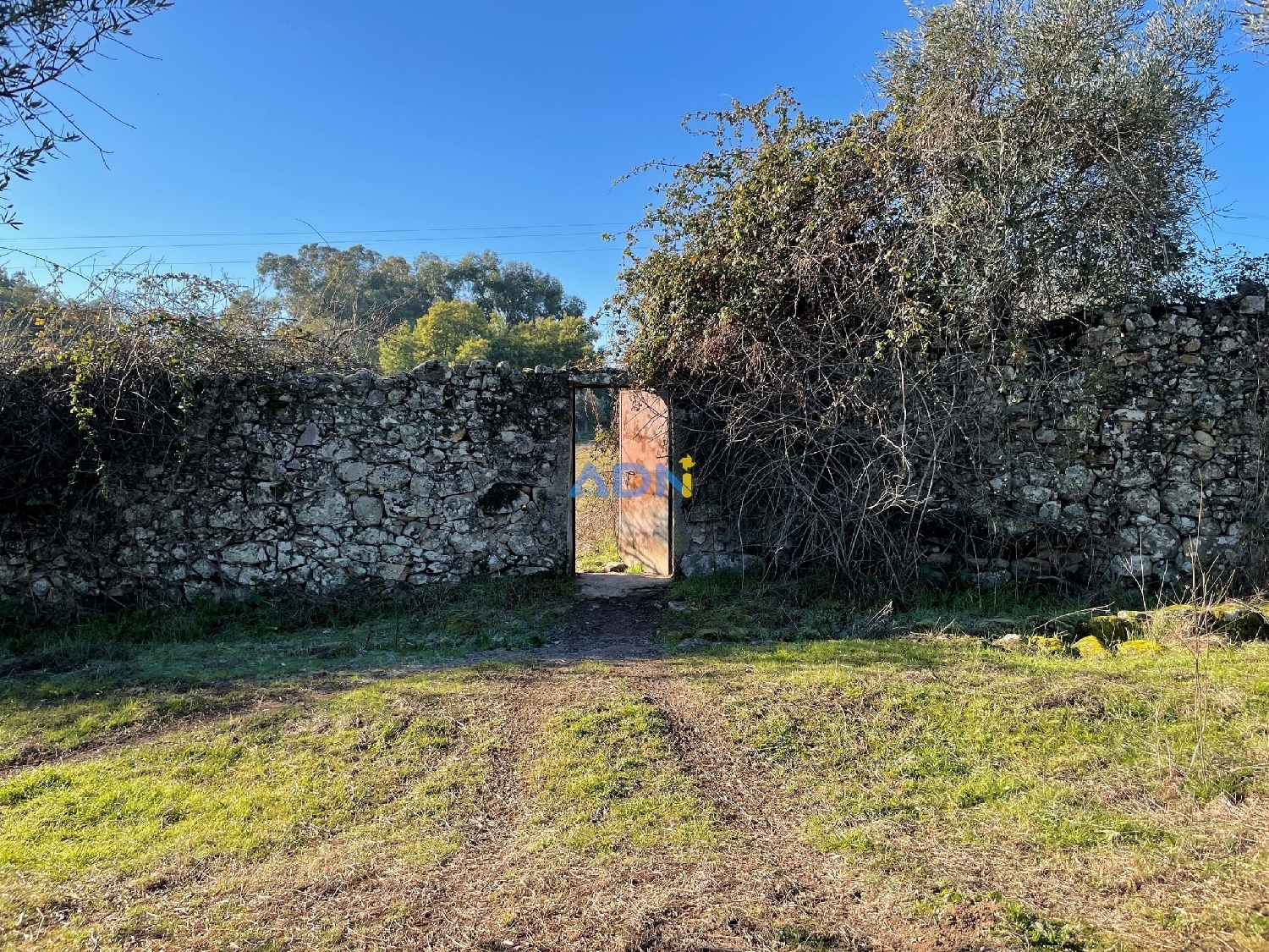  te koop boerderij Castelo Branco Castelo Branco 8