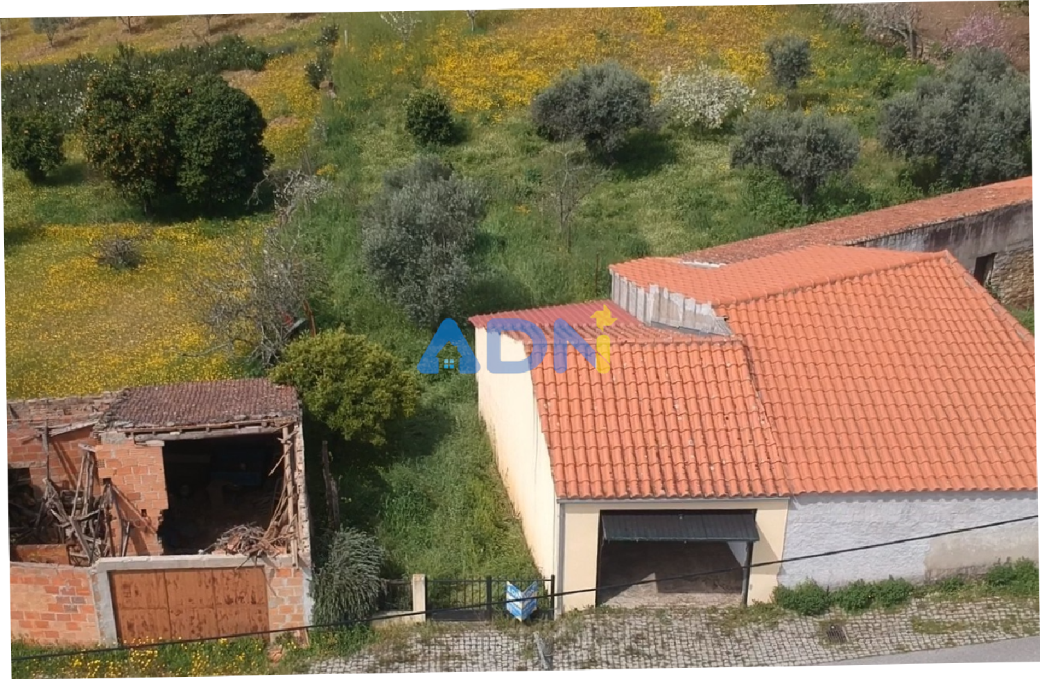  te koop boerderij Castelo Branco Castelo Branco 1