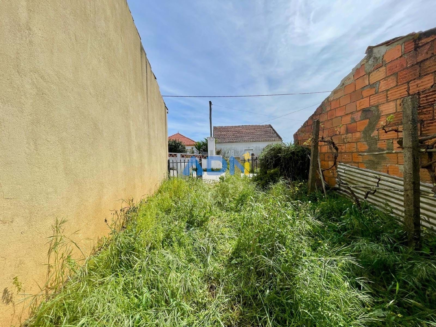  te koop boerderij Castelo Branco Castelo Branco 6
