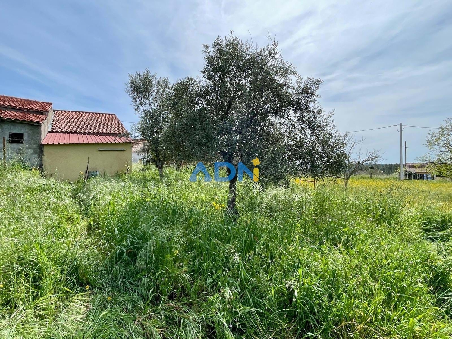 te koop boerderij Castelo Branco Castelo Branco 7