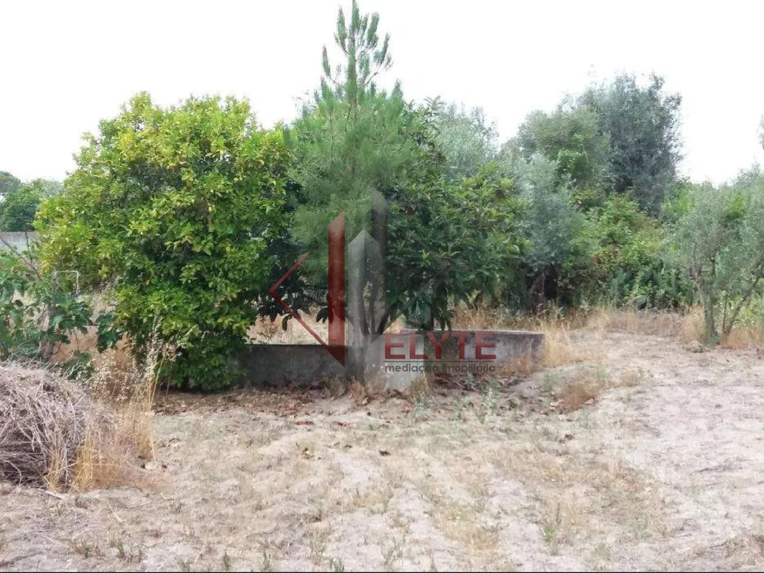à venda quinta Coruche Coruche 3