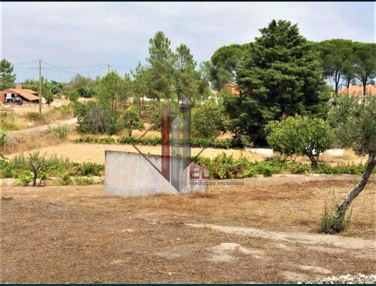  à venda quinta Coruche Coruche 4