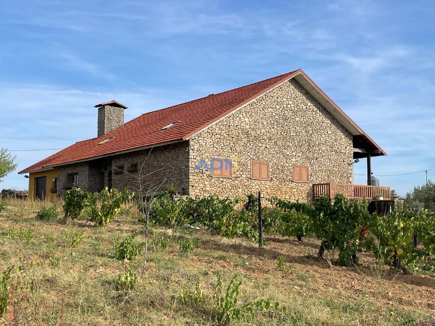  for sale farm Freixo de Espada à Cinta Freixo De Espada À Cinta 1