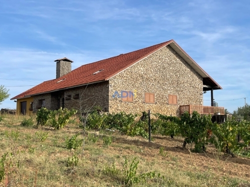 Freixo de Espada à Cinta Freixo De Espada À Cinta farm foto 334403